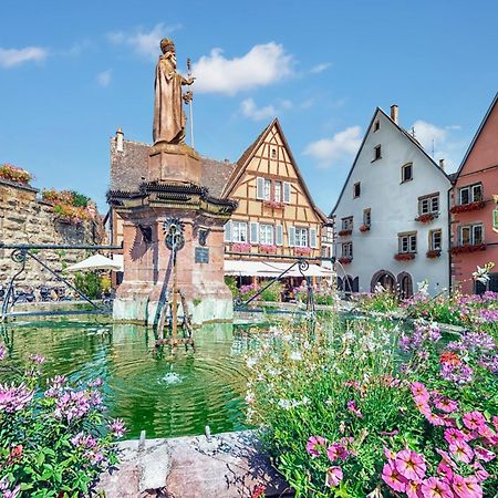 Hotel Colmar Vignes إِجويشا المظهر الخارجي الصورة