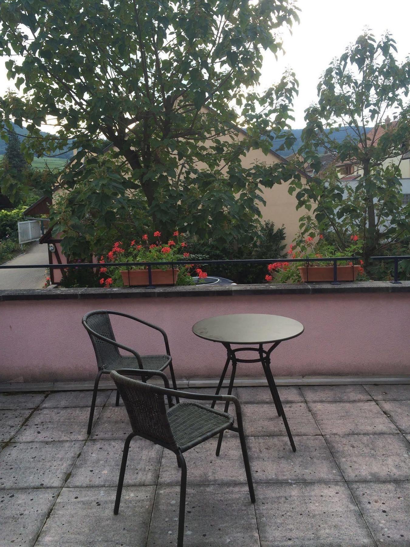 Hotel Colmar Vignes إِجويشا المظهر الخارجي الصورة